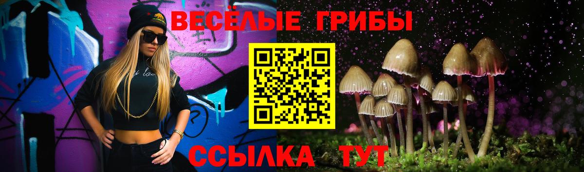 Псилоцибиновые грибы мухоморы  Галлюциногенные грибы GOLDEN TEACHER  Прокопьевск  Вход с VPN 